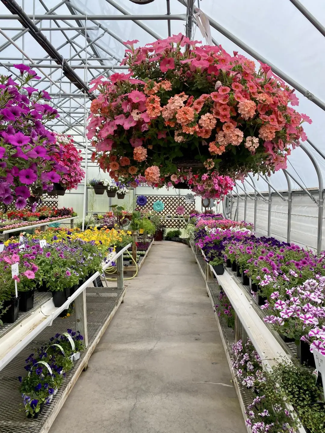 Greenhouse and landscape company