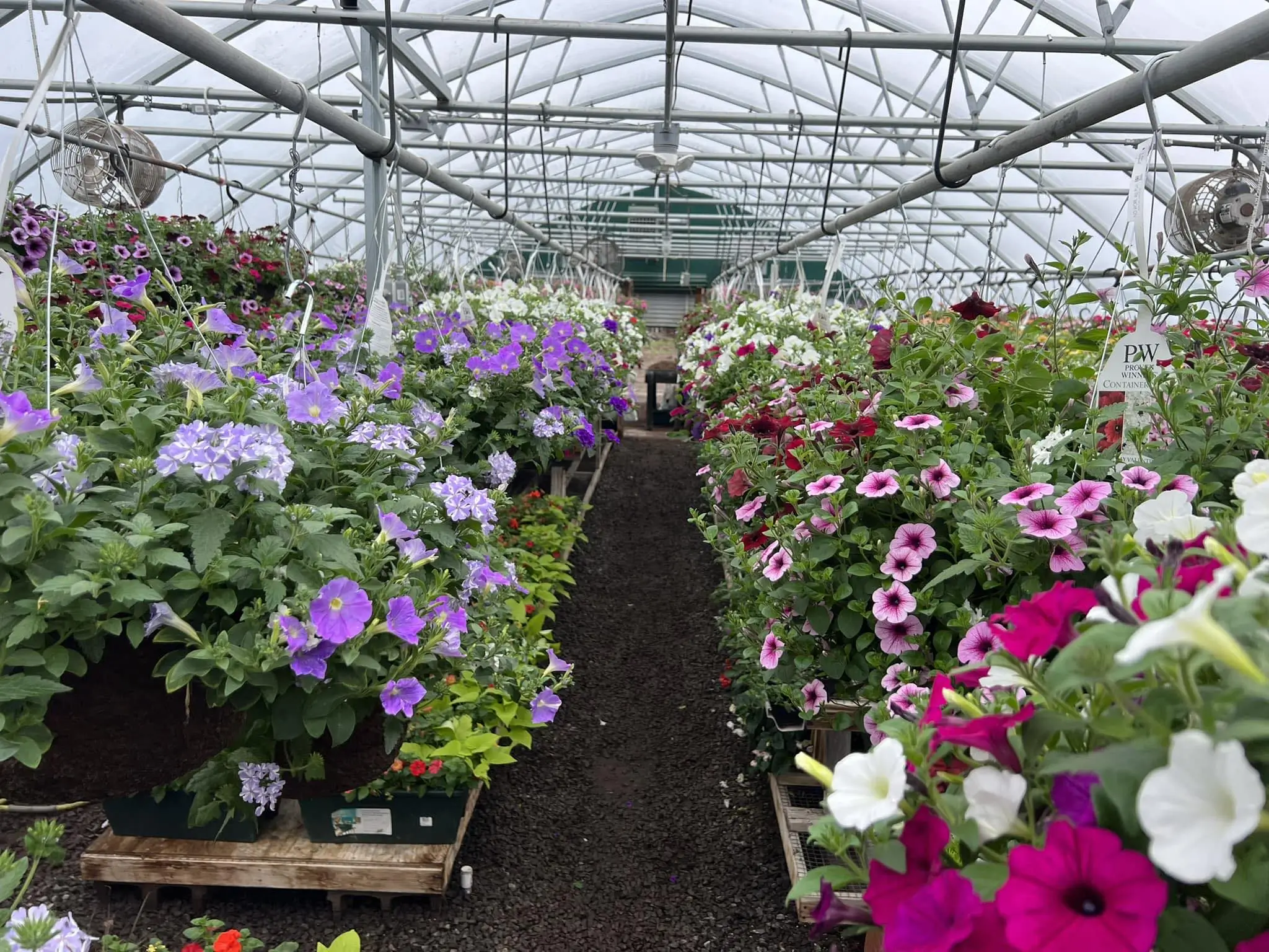 Landscaping company contact