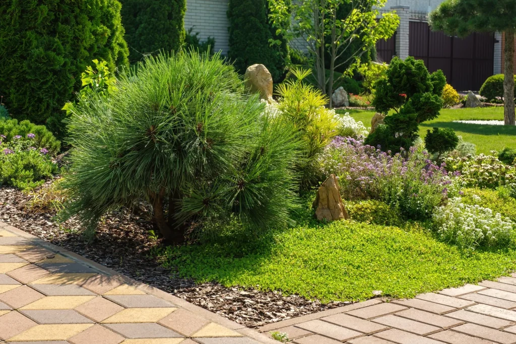 Landscape Installation