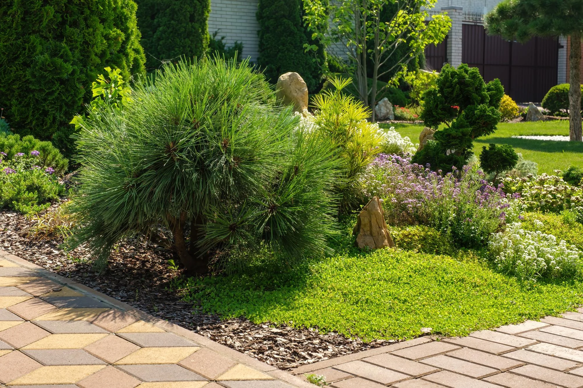 Landscape Installation