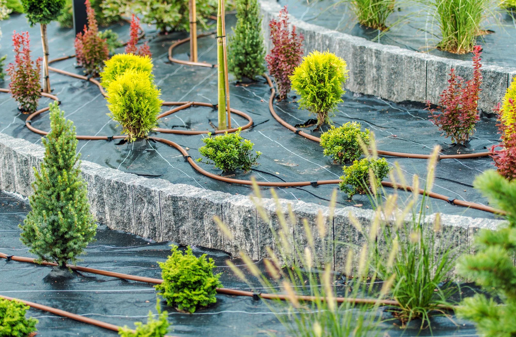 Custom Landscape Design