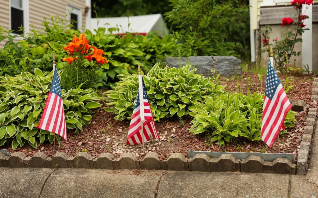 Perennials and Annuals