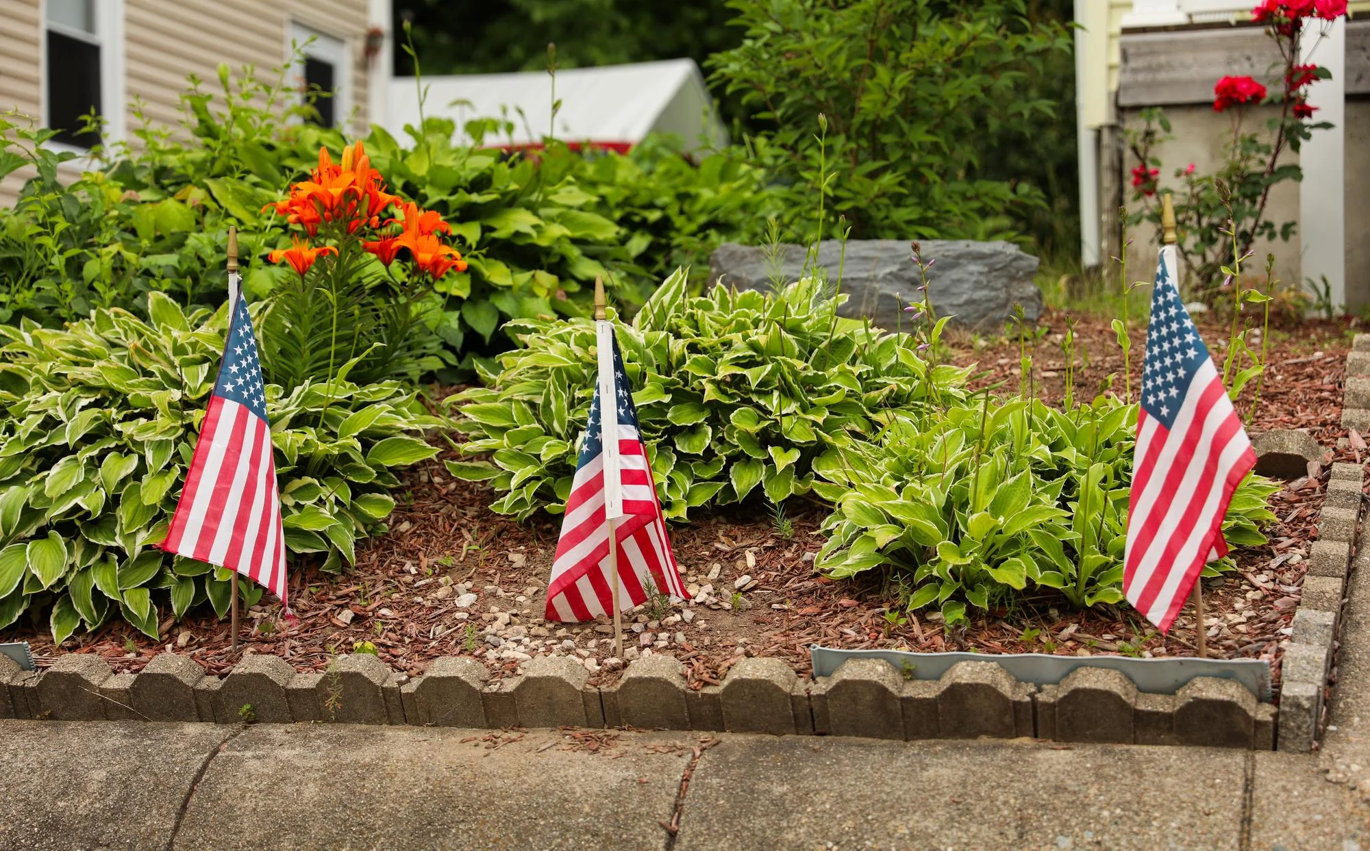Perennials and Annuals