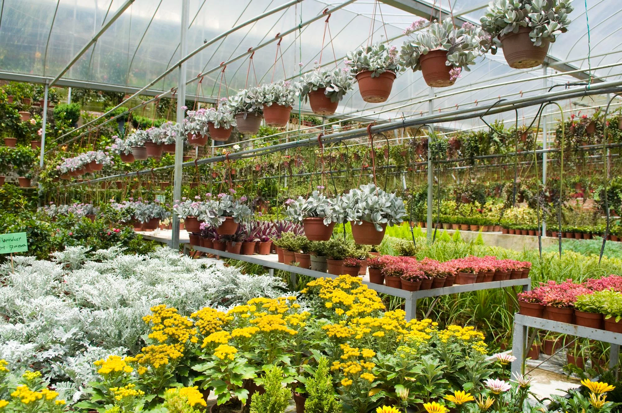 Greenhouse Seasonal and Container Planting