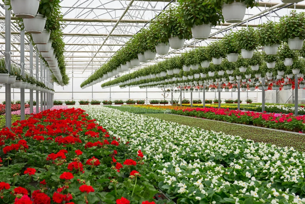 green house