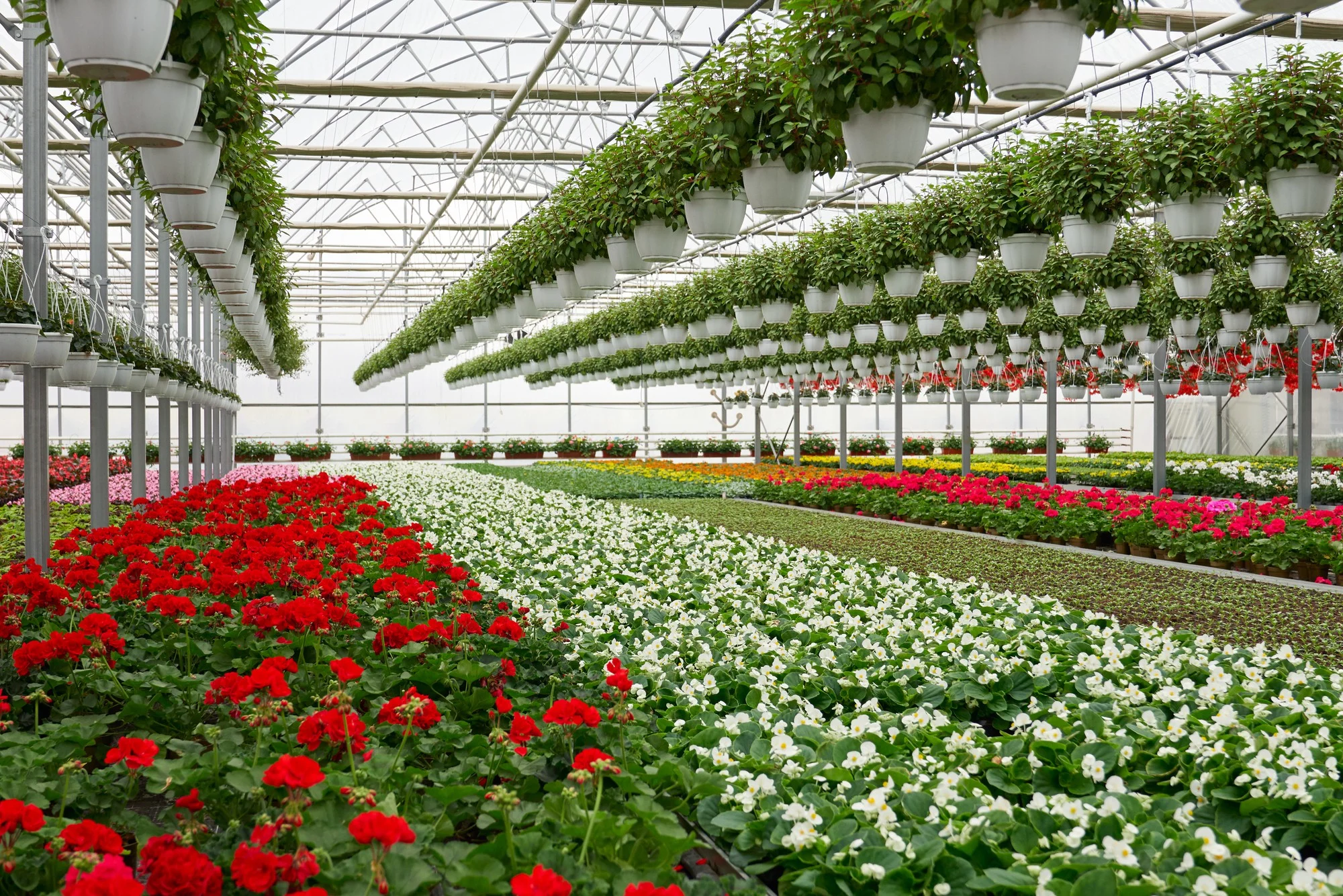 green house
